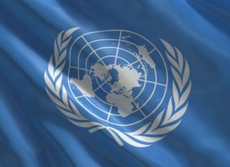 ONU propone renta básica para un tercio de la población global