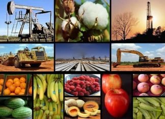 Ejecutivo Nacional respaldará a sectores productivos