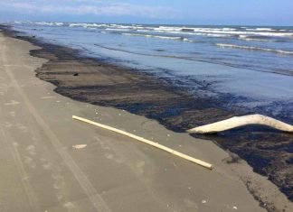 Inician saneamiento tras el derrame petrolero