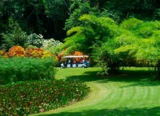 Parque de La Exótica Flora Tropical