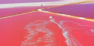 Salinas de Cumaraguas