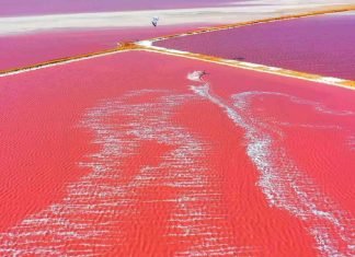 Salinas de Cumaraguas