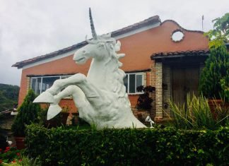 La Serenidad del Unicornio…