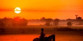Llanos venezolanos
