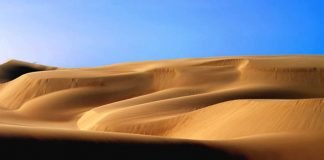 Médanos de Coro: Un paisaje diferente cada día