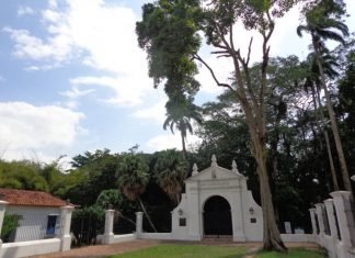 Tierra de Luz, Magia y Verdor