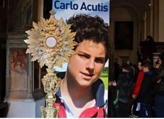 Hoy beatifican en Asís al «Ciberapóstol de la Eucaristía»