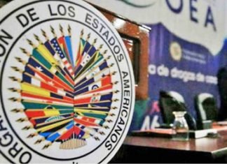Sesión virtual OEA este lunes disertará crisis multidimensional en Venezuela