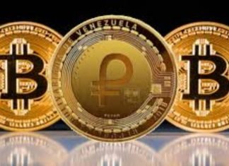 Parga: Anclar salarios al Petro genera problemas al gobierno