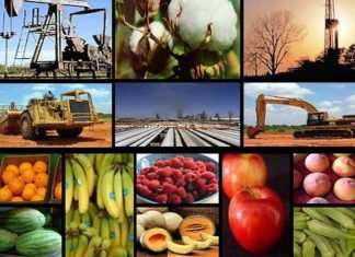 En Lara gremio empresarial solicita restablecimiento de actividades productivas