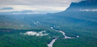 Río Orinoco: El afluente de una tierra infinita