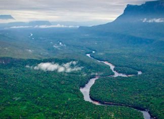 Río Orinoco: El afluente de una tierra infinita