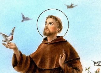 San Francisco de Asís, ejemplo de pobreza, armonía y paz