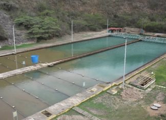 Por turbidez del agua paralizado el bombeo en el Sistema Alto Tocuyo