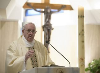 Papa pide no dejarse domesticar por homogeneización y consumo