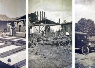 Daniel Yepes Gil: precursor de la industria azucarera del Valle del Turbio