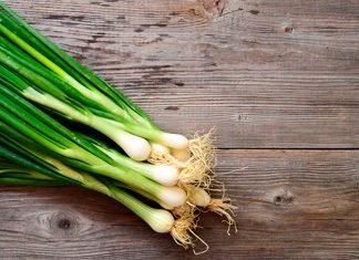 Beneficios del Cebollín para la salud
