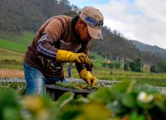 Sector productivo se debe incorporar totalmente