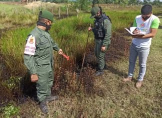 Realizan inspección técnica en poliducto de Simón Planas por derrame de hidrocarburo