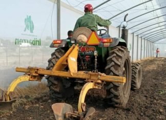 Alcaldía de Iribarren distribuyó 228 toneladas de alimentos a través de Abastecer