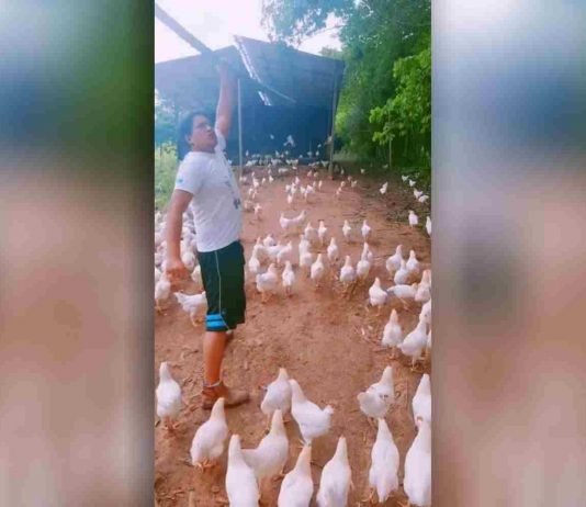 Video viral recrea a la película 300