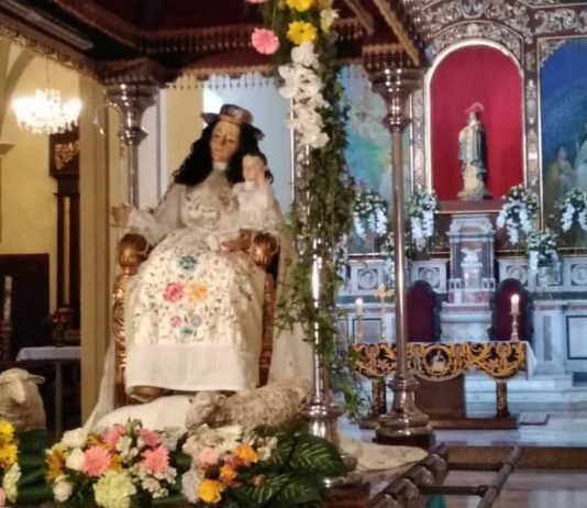Peregrinación Virtual de la Divina Pastora llega a sus días centrales
