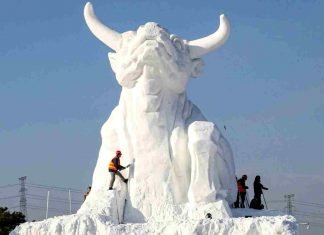 ¡Toma a este toro por las astas!