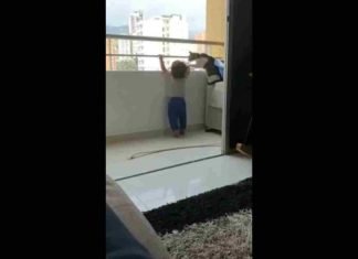 Gato cuida a un niño