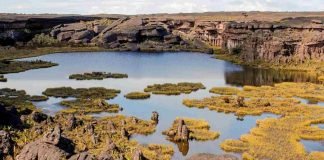 Lago Gladys en Roraima