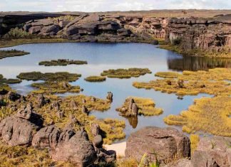 Lago Gladys en Roraima