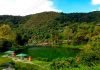 Laguna Los Cedros: un paisaje de encanto