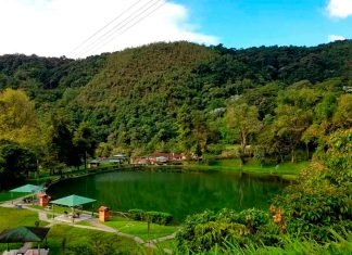 Laguna Los Cedros: un paisaje de encanto