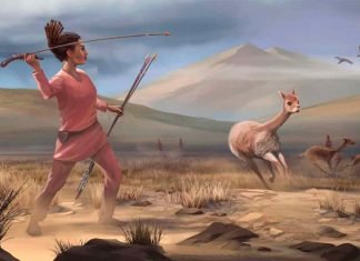 Ellas también cazaban en la prehistoria