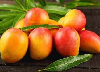 Propiedades del mango