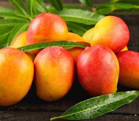 Propiedades del mango