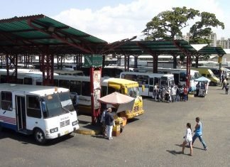 Cuarentena radical y escasez de combustible afectan al sector transporte