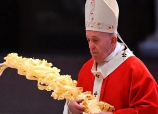 Francisco en el Ángelus del Domingo de Ramos pidió rezar por las víctimas de la violencia