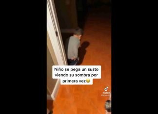 Niño descubre su sombra (Video)