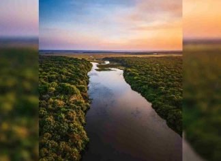 Atardecer en el Río Matiyure, Apure