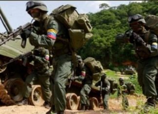 Desplegadas FANB en el estado Apure ante presencia de grupos irregulares