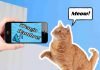 “Meowtalk”, la app que traduce a tu gato