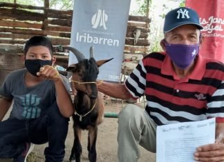 Entregan ejemplares caprinos y ovinos a criadores en Iribarren