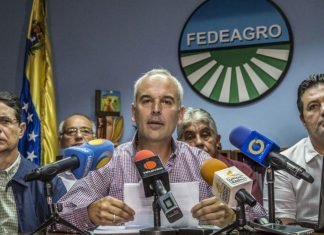Fedeagro reporta cuantiosas pérdidas de alimentos por déficit de combustible