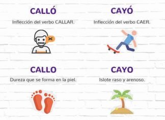 Calló, cayó, cayo y callo.