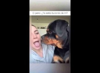 ¿Te estás burlando de mí?