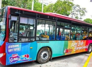 El sistema de transporte público TransGuaro iniciará funciones la próxima semana