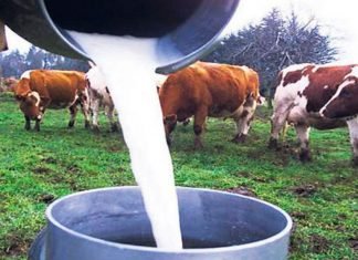 Fedenaga asegura escasez de combustible limita la distribución de productos