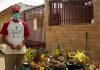 “Cactus.bqto”, un emprendimiento larense