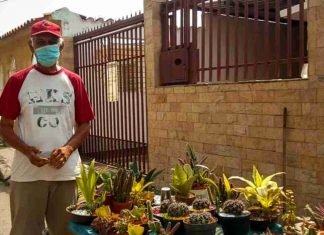 “Cactus.bqto”, un emprendimiento larense