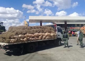 Alertan que alcabalas influyen en pérdida de 80 mil toneladas de rubros